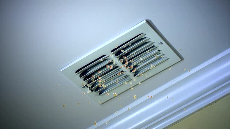 Best Air Duct Cleaning Near Me  in Lakes East, CT